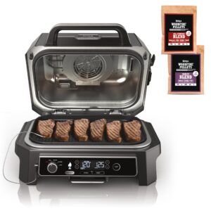 Ninja Woodfire Pro XL OG850 Electric Outdoor Grill and Smoker – 4-in-1 Portable BBQ with Built-In Thermometer, Air Fry, Bake, and Real Woodfire Flavor – Stainless Steel, 22-Inch, Dark Grey