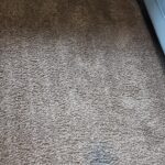 Shark AI Ultra Robot Vacuum – Self-Emptying, Smart Mapping, Matrix Clean, 60-Day XL Base, Pet Hair Pickup, Voice/App Control, LiDAR Navigation for Carpet & Hard Floors photo review